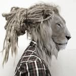 Robert Rigby - @ninjadigby - Instagram