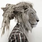 Robert Rigby - @rigbypng - Instagram