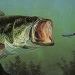 Robert Rigby - @fishingindiana1990 - Instagram