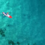 Robert Rigdon - @frontlinedragonfly - Instagram