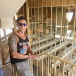 Robert R - @robert.riggato - Instagram
