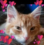 Robert Riggs - Facebook
