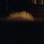 Robert Riggs - @robert.riggs.16568 - Instagram
