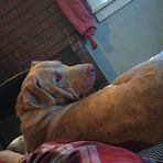 Robert Riggs - Facebook
