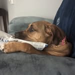 Robert Scott Riggs - @bigriggs.sr - Instagram