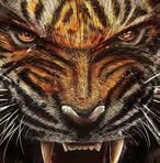 Robert Rightmire - Facebook