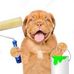 Robert Rigoni - Facebook