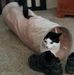 Robert Rigsbee - Facebook