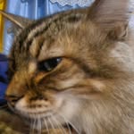 Robert Thomas Rigsby - @robert.t.rigsby - Instagram