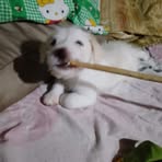Robert Riley Salamat - Facebook