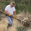 Robert Remington - @robert.remington8 - TikTok