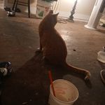 Robert Rimmer - @robertbryanrimmer - Instagram