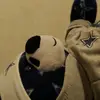 robert_rincones - @robert_rincones - TikTok