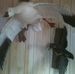 Robert Rineer - Facebook