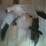 Robert Rineer - @rineerrobert - Instagram