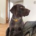 Robert Ring - Facebook