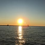 Robert Ringelmann - @robert_ringelmann - Instagram