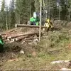 Robert Ringstad291 - @robertringstad291 - TikTok