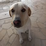 Roberto Riondato - @robertoriondato - Instagram