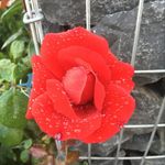Robert Ripperger - @rippergerrobert - Instagram
