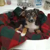 Robert Rippert - @robert.rippert - TikTok