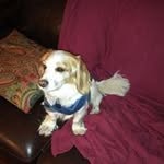 Robert G Ripple - @sggolf49 - Instagram