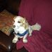 Robert Ripple - Facebook
