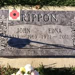 Robert Rippon - @rbrip - Instagram