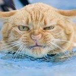 Robert Risch - @robert.risch.7 - Instagram