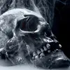 robertrisdon849 - @robertrisdon849 - TikTok