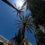 Robert Risenhoover - @risenhoover.robert - Instagram
