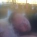 Bob Rish - Facebook
