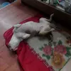 Robert Grisko - @robert.grisko - TikTok