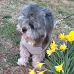 Robert Tami Risner - @roberttamirisner - Instagram