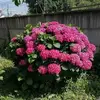 Robert Rispoli - @robert.rispoli - TikTok
