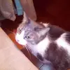 robertorispoli536 - @robertorispoli536 - TikTok