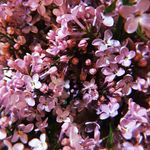 Robert Ristau - @ristau_robert - Instagram