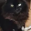 Robert Rystau - @robert.rystau - TikTok