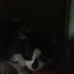 robertritenour - @bobbert1254 - Instagram