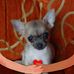 Robert Ritschel - Facebook