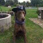 Robert Ritter - @robert.ritter.908 - Instagram