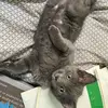 Robert Ritter - @robert.ritter78 - TikTok