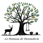 Carole Robert Rivière - @le_hameau_de_donnedevie - Instagram
