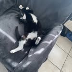 Robert Rix - @robertrix1 - Instagram