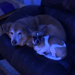 Robert Robbins - @robert.robbins.7528 - Instagram