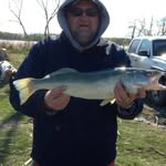 Robert Robichaud - @robichaudrobert - Instagram