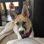 Robert Robichaud - @rrob121 - Instagram