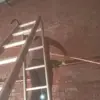 Robie Robert - @robie.robert8 - TikTok