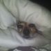 Robert Robl - Facebook