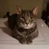 robertroda695 - @robertroda695 - TikTok